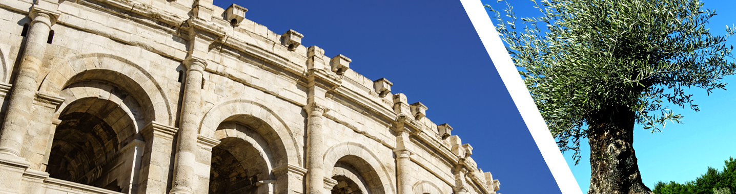 LESARENEDUPLASMA_1436x380